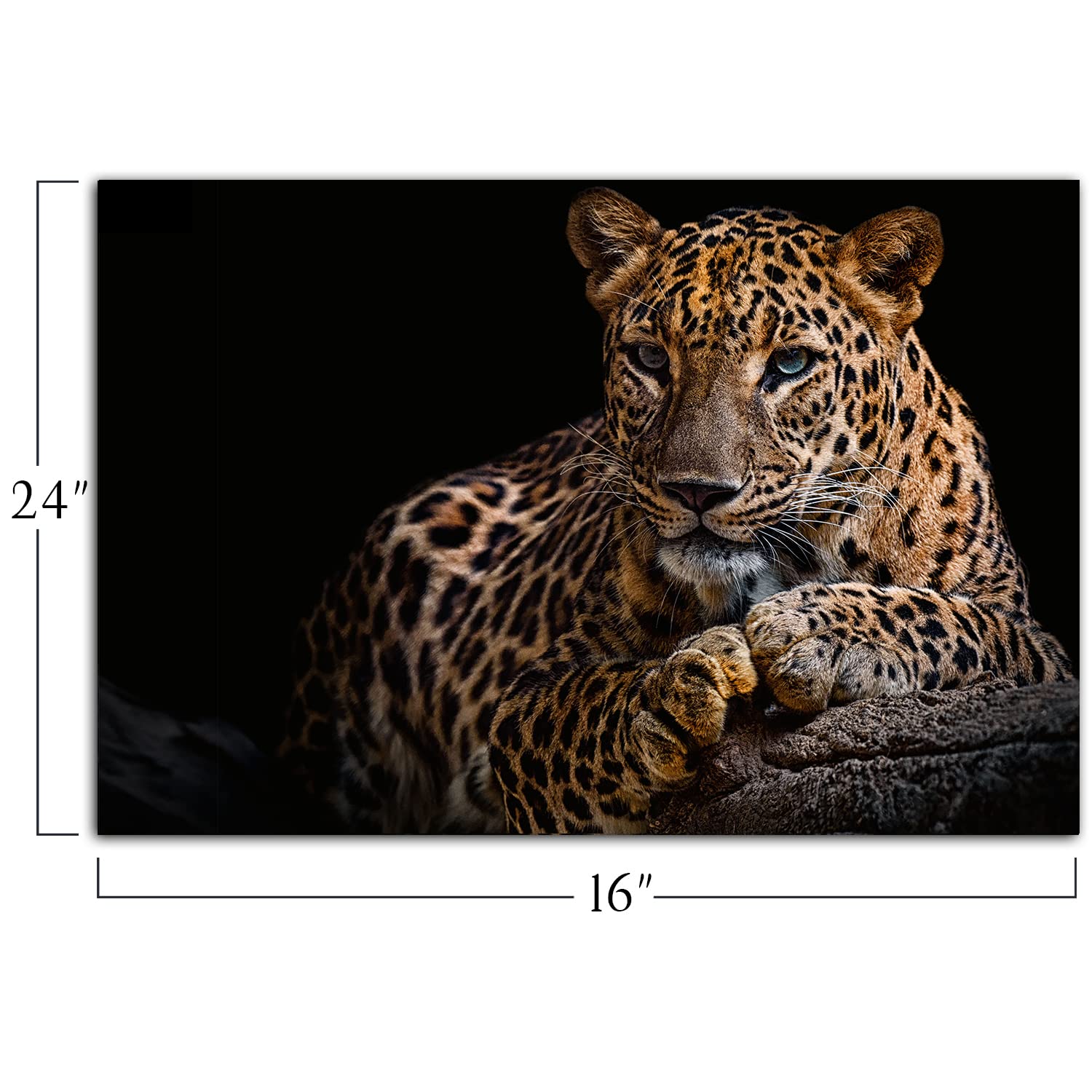 ヒョウの点描画 S3キャンバス Amazon.co.jp: ヒョウ柄キャンバスプリント 黒背景 黄金の野生動物